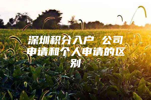 深圳积分入户 公司申请和个人申请的区别