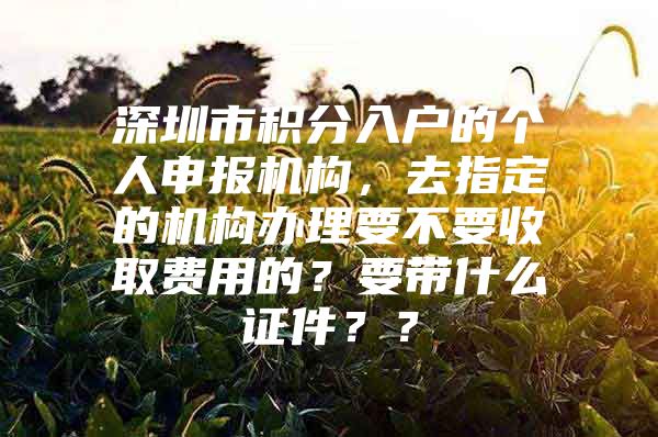 深圳市积分入户的个人申报机构，去指定的机构办理要不要收取费用的？要带什么证件？？