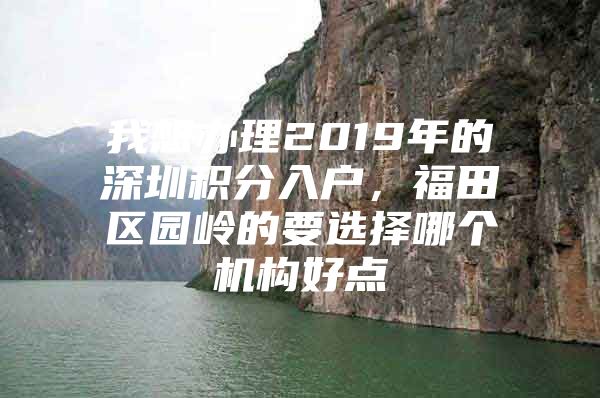 我想办理2019年的深圳积分入户，福田区园岭的要选择哪个机构好点