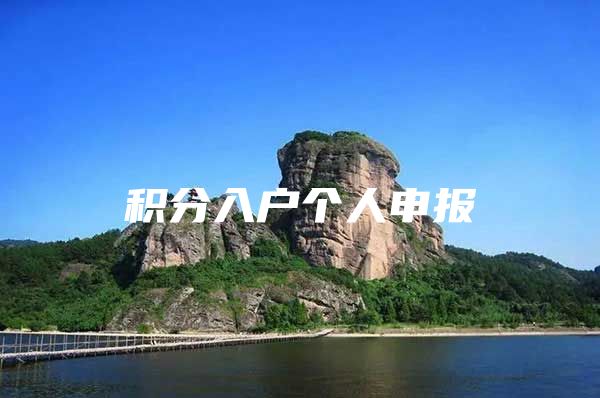 积分入户个人申报