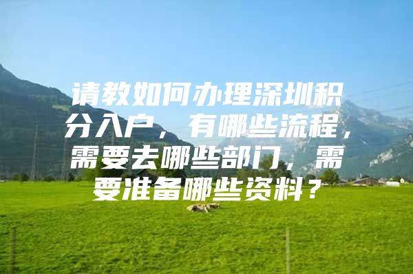 请教如何办理深圳积分入户，有哪些流程，需要去哪些部门，需要准备哪些资料？