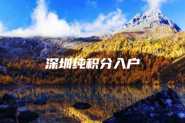 深圳纯积分入户