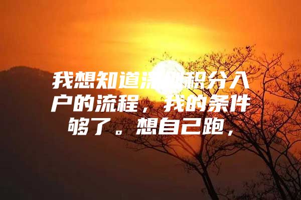 我想知道深圳积分入户的流程，我的条件够了。想自己跑，
