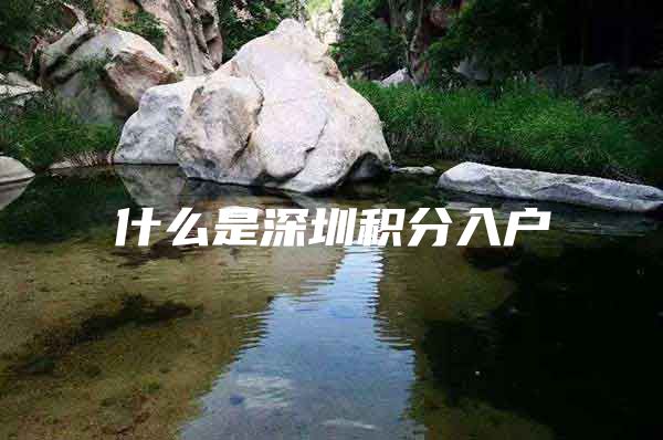 什么是深圳积分入户