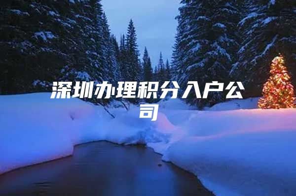 深圳办理积分入户公司