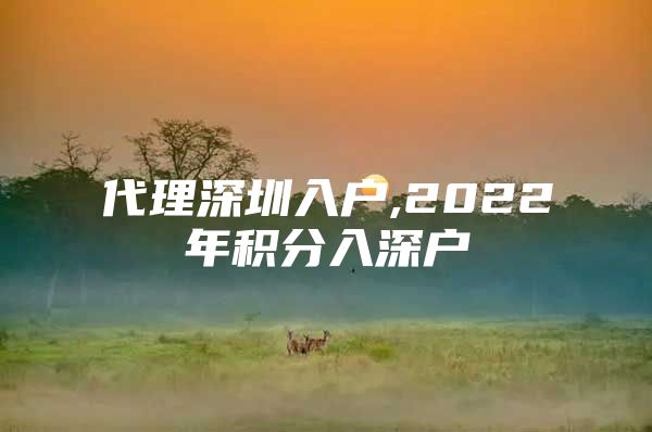 代理深圳入户,2022年积分入深户