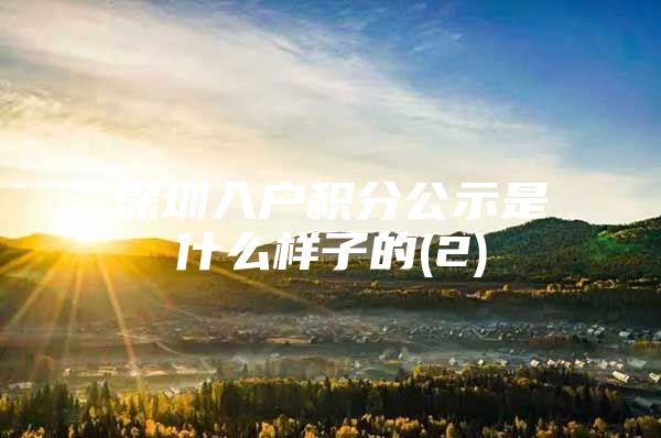 深圳入户积分公示是什么样子的(2)