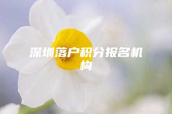 深圳落户积分报名机构